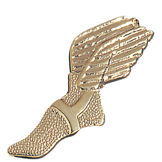 Gold Track Winged Shoe Lapel Pin