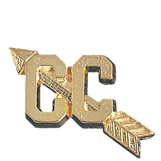 Gold Cross Country Lapel Pin