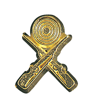 Gold Crossed Rifle Lapel Pin