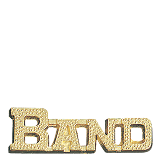 Gold Band Lapel Pin