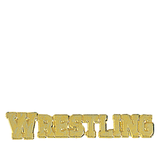 Gold Wrestling Lapel Pin