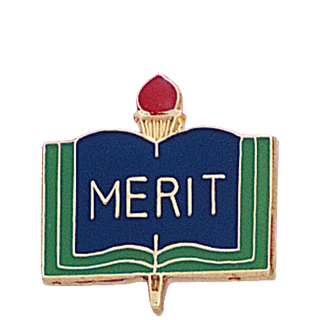 Merit School Lapel Pin
