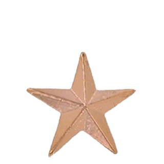 Small Bronze Star Lapel Pin