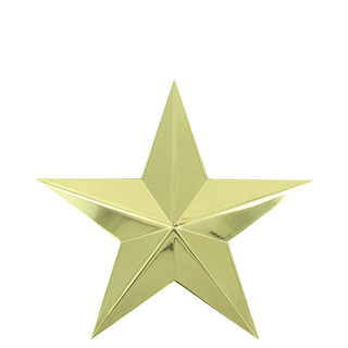 Small Bright Gold Star Lapel Pin