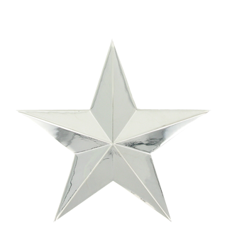 Small Silver Star Lapel Pin