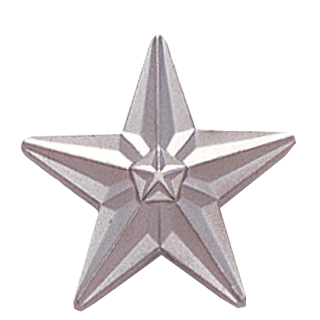 Silver Double Star Lapel Pin