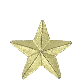 Mini Gold Star Lapel Pin