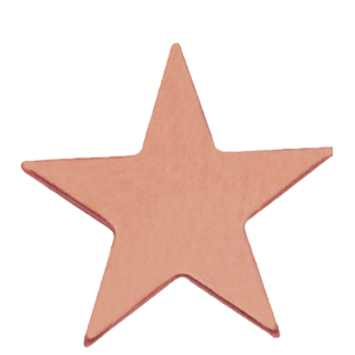 Flat Bronze Star Lapel Pin