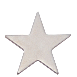 Polished Silver Star Lapel Pin