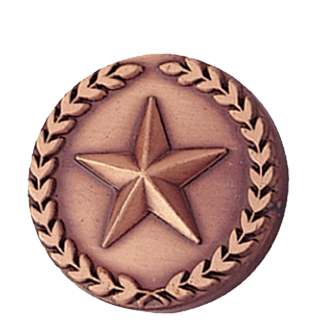 Bronze Star and Wreath Lapel Pin