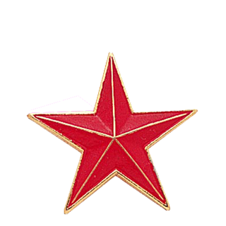 Red Color Star Lapel Pin