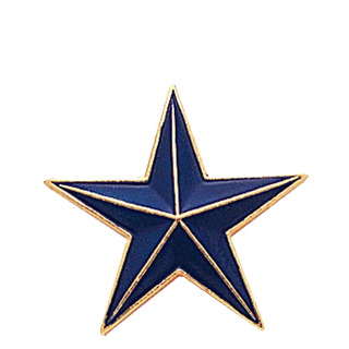 Blue Color Star Lapel Pin