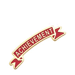 Achievement Lapel Pin