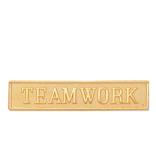 Teamwork Lapel Pin