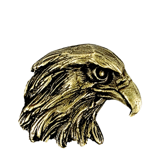 Golden Brass Eagle Mascot Pin