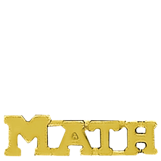 Gold Math Lapel Pin