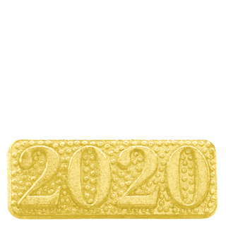 2020 Year Lapel Pin