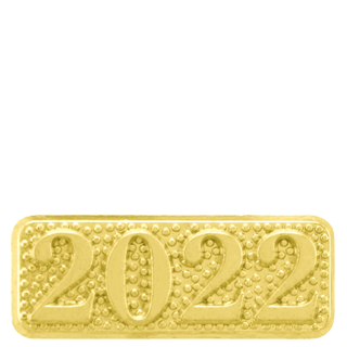 2022 Year Lapel Pin