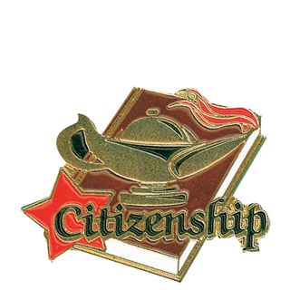 Citizenship Lamp Lapel Pin