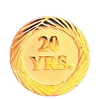 Twenty Years of Service Pin