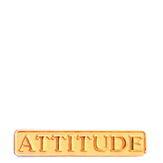 Attitude Lapel Pin