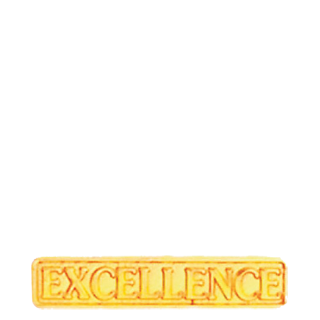 Excellence Lapel Pin